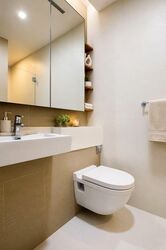 Soleil @ Sinaran (D11), Condominium #590297261